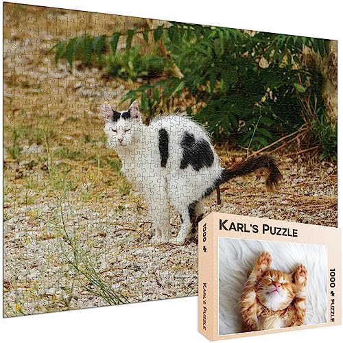 Scherzpuzzle Geschenk Kätzchen/Katze - 1000 Teile Puzzle mit falschem Kartonmotiv als lustige Geschenkidee, Scherzartikel oder Scherzgeschenk von Karl's Puzzle
