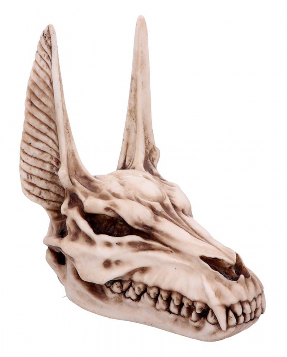 Anubis Totenschädel Figur 17cm online ordern von Karneval Universe