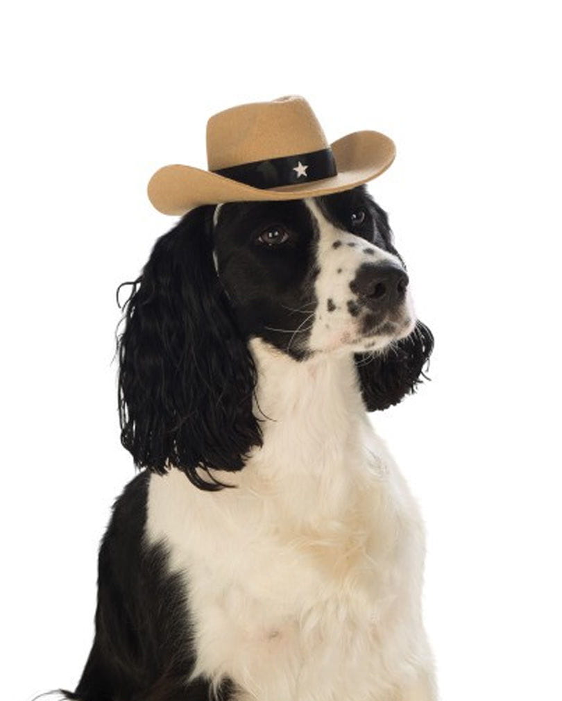 Cowboy-Hut für Hunde & Katzen Tier Kostüm-Accessoires online kaufen S/M Cowboy-Hut für Hunde & Katzen Tier Kostüm-Accessoires online kaufen S/M von Karneval Universe
