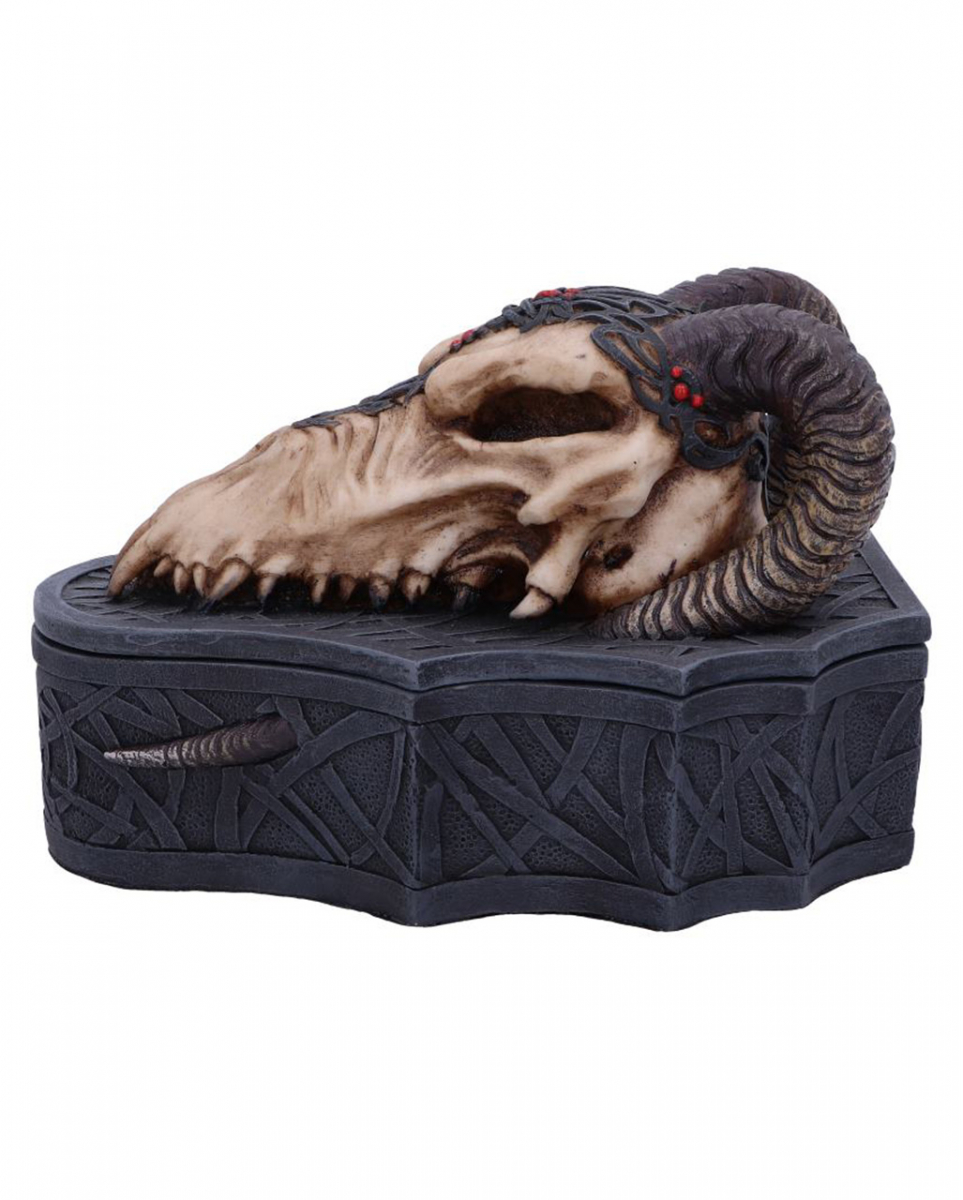Drachenschädel Totenkopf Box 17,7cm  JETZT ordern von Karneval Universe