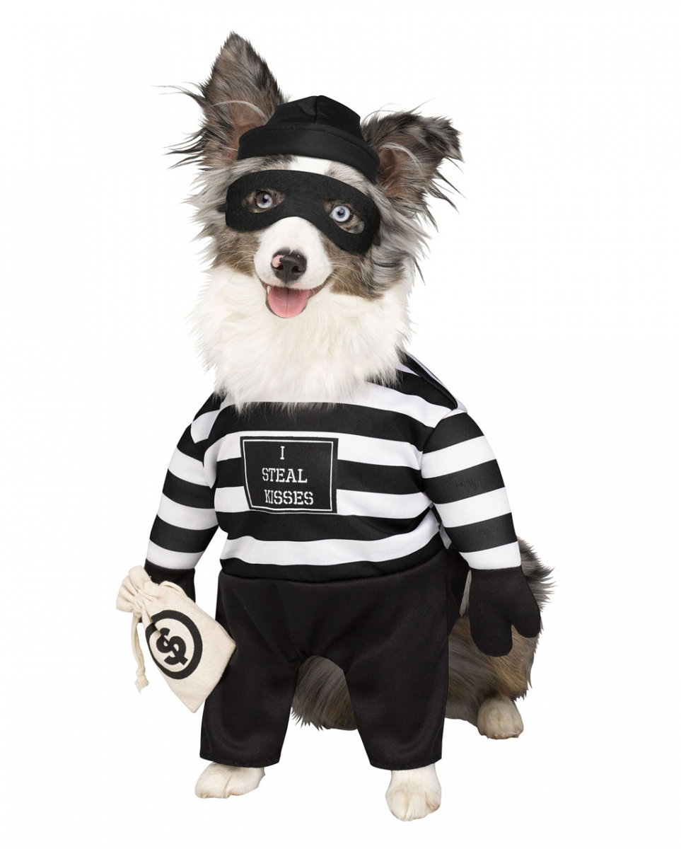 Einbrecher Hunde-Kostüm für Karneval L (ca. 13 - 20 kg) von Karneval Universe