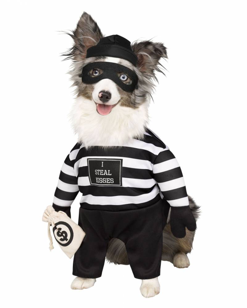 Einbrecher Hunde-Kostüm für Karneval L (ca. 13 - 20 kg) von Karneval Universe