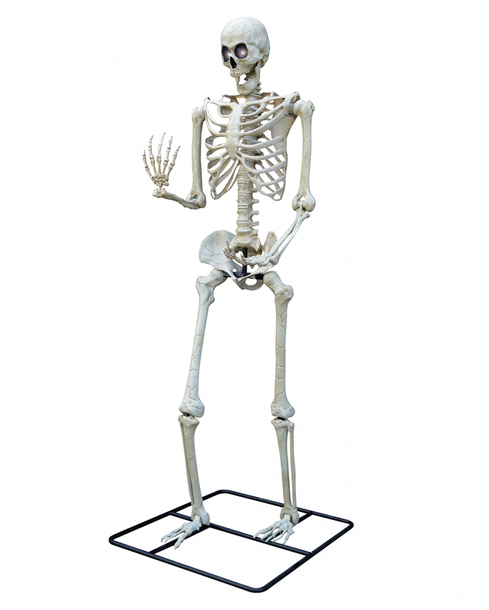 Gigantisches Halloween Skelett 3 Meter für Halloween von Karneval Universe