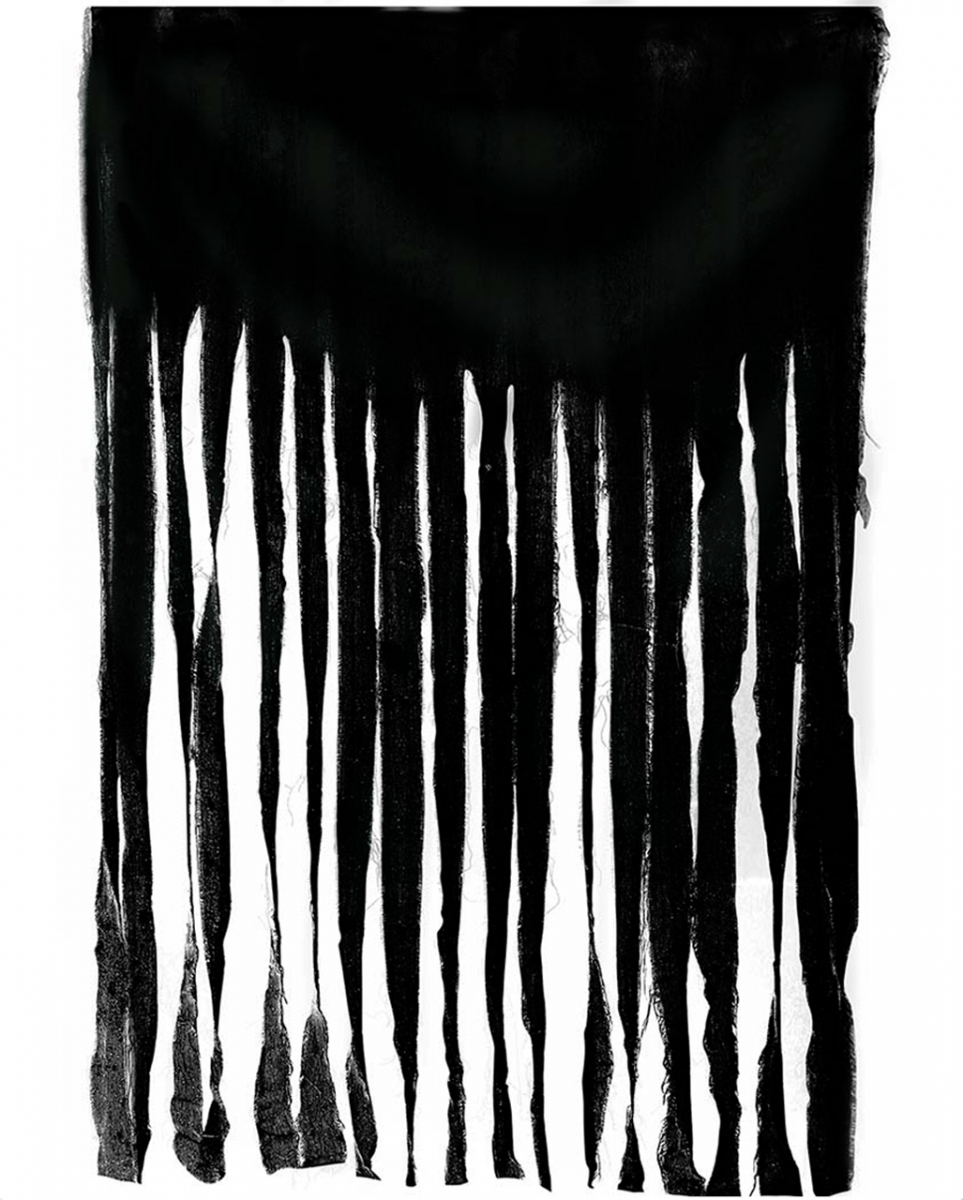 Halloween Vorhang Schwarz 100x200cm  JETZT bestellen! von Karneval Universe
