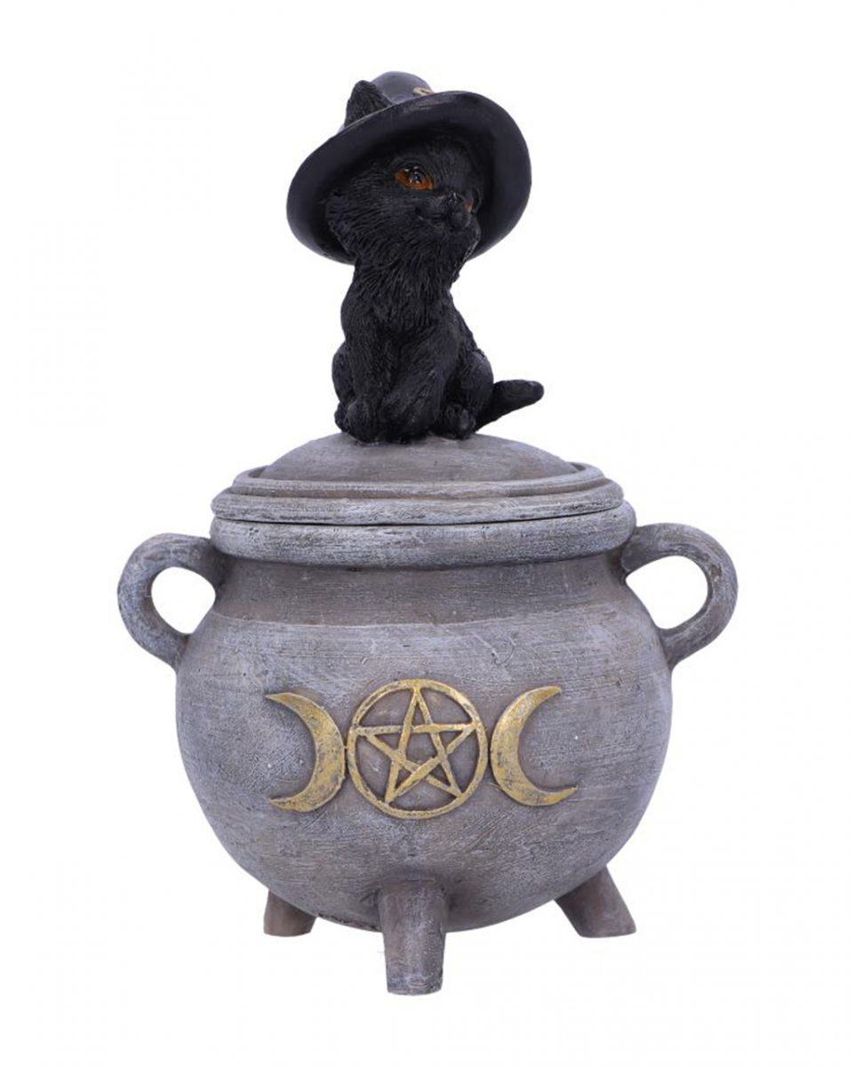 Hexenkätzchen mit Hexenkessel Box 14cm ordern von Karneval Universe