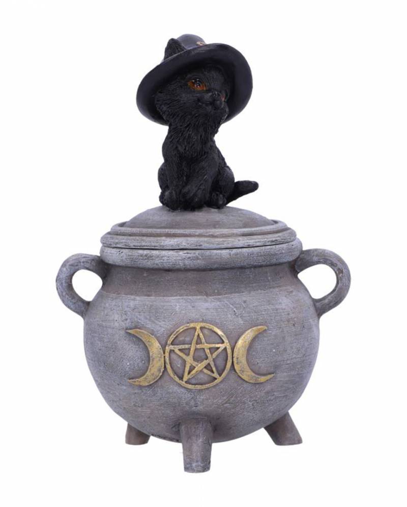 Hexenkätzchen mit Hexenkessel Box 14cm ordern von Karneval Universe