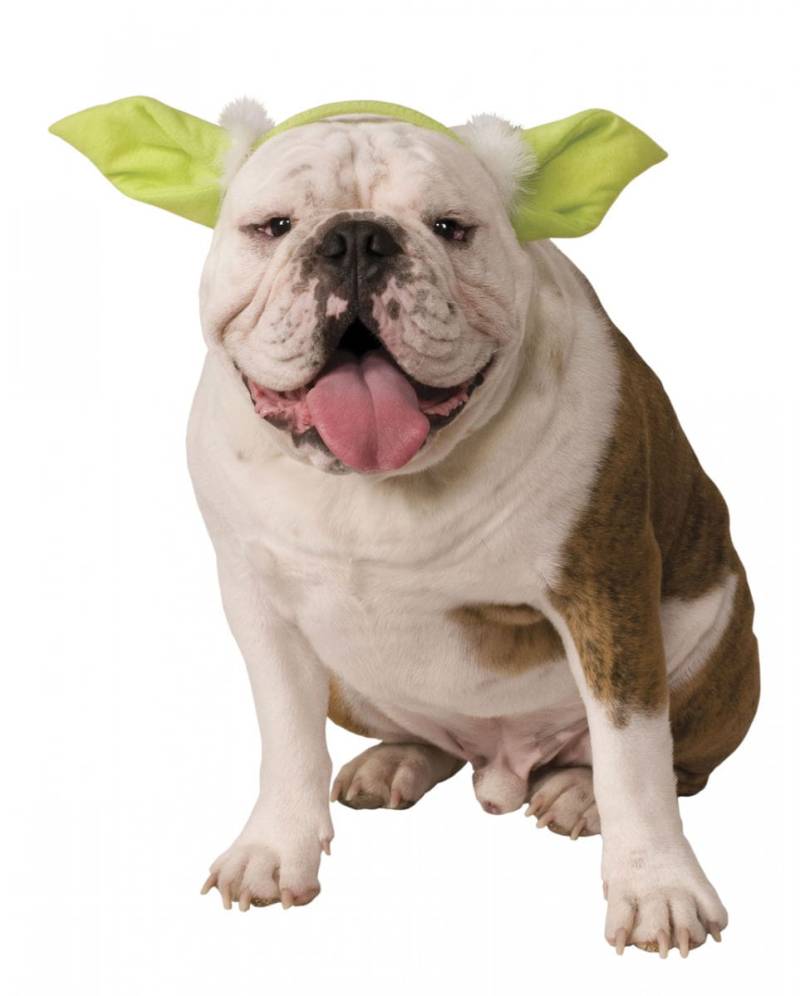 Hunde & Katzen Haarreif mit Yoda Ohren ★ Star Wars M/L von Karneval Universe