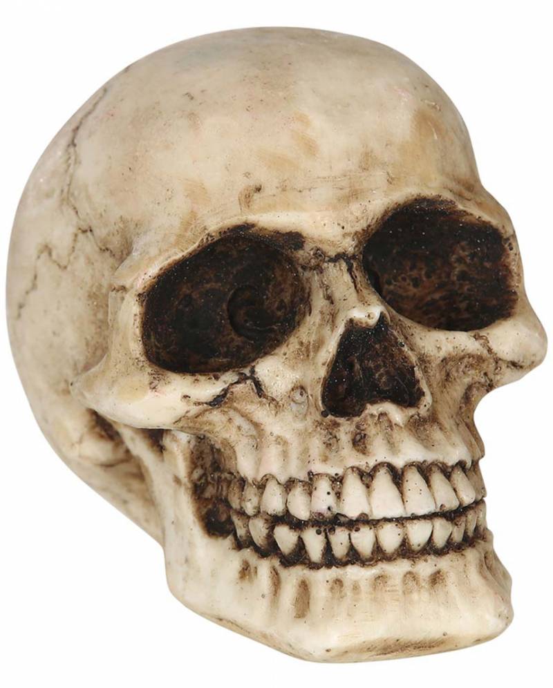 Kleiner Deko Totenschädel 8cm  Horror Deko von Karneval Universe