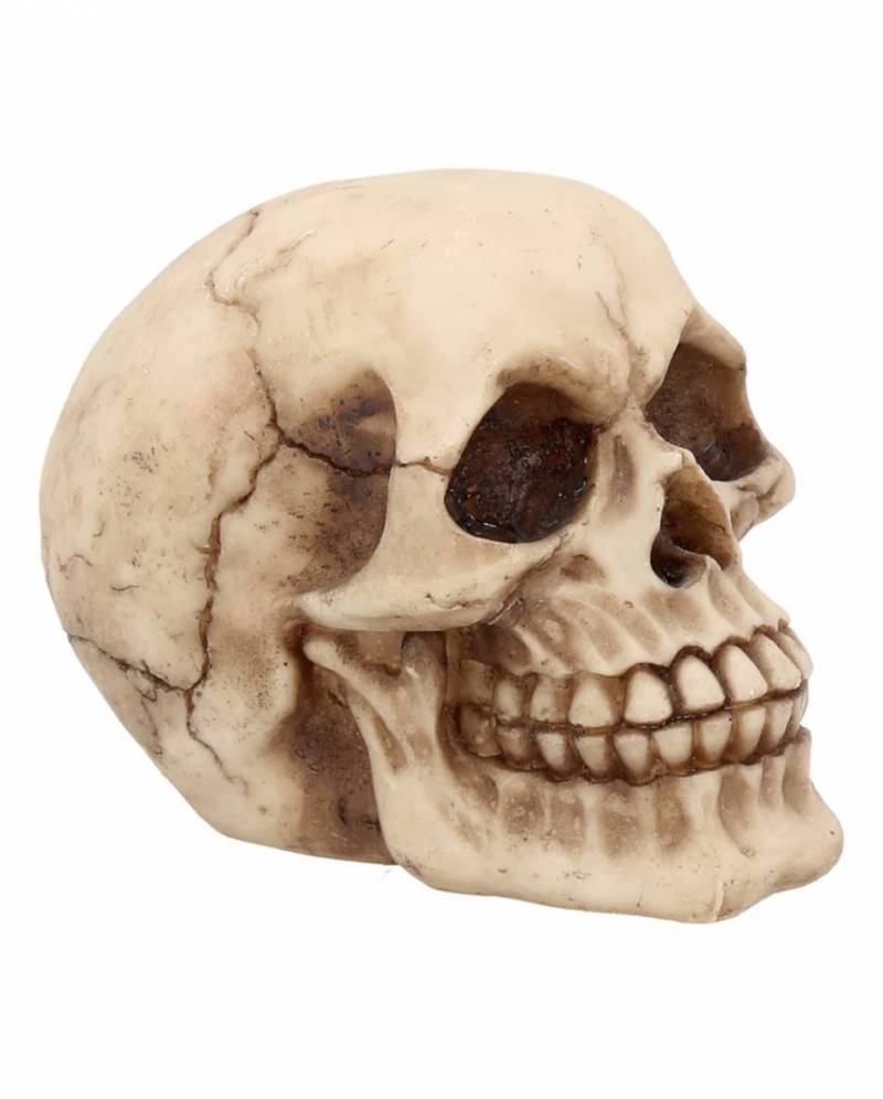 Kleiner Grinsender Totenkopf 12cm bei ➔ von Karneval Universe