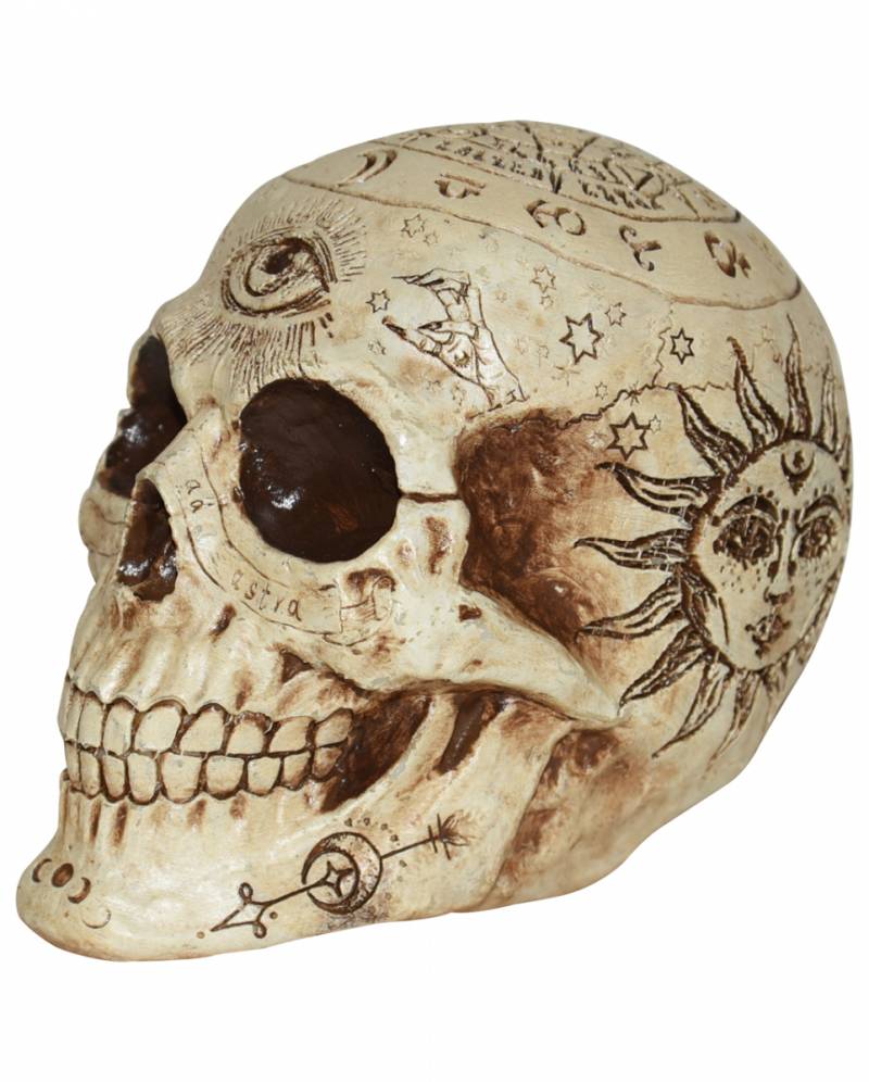 Kleiner Wahrsage Totenschädel 18 cm ★ von Karneval Universe