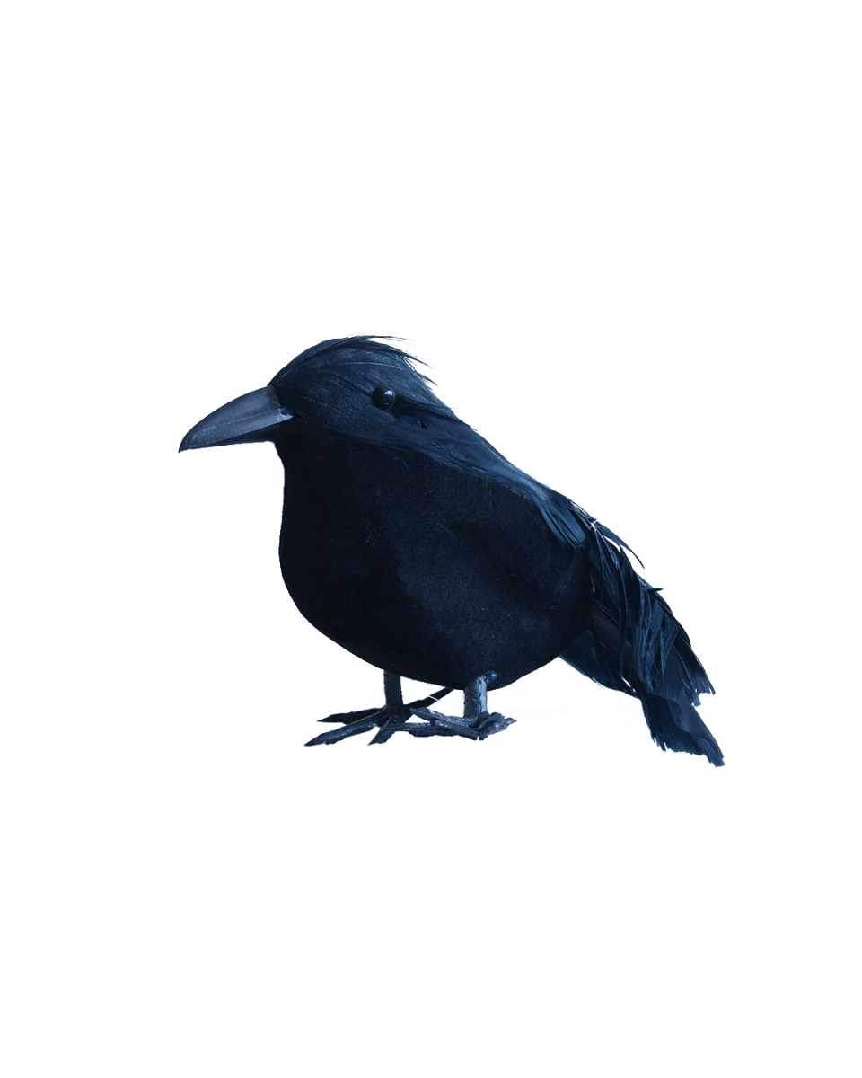 Kleiner schwarzer Rabe 9 cm für Halloween von Karneval Universe