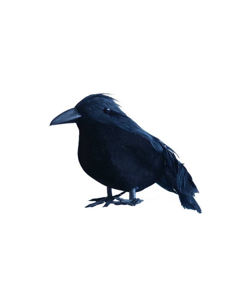 Kleiner schwarzer Rabe 9 cm für Halloween von Karneval Universe