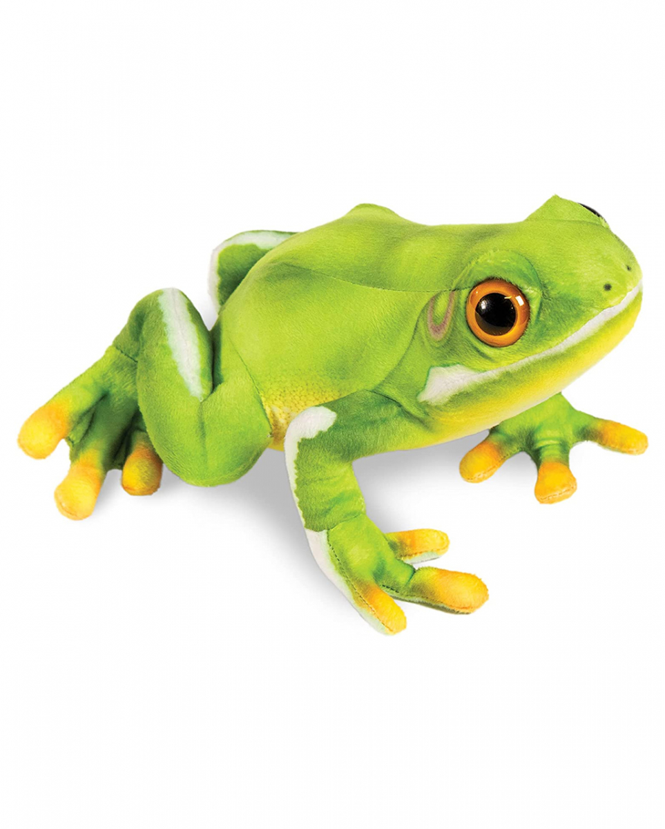 Laubfrosch Kuscheltier 29cm als Geschenk kaufen! von Karneval Universe