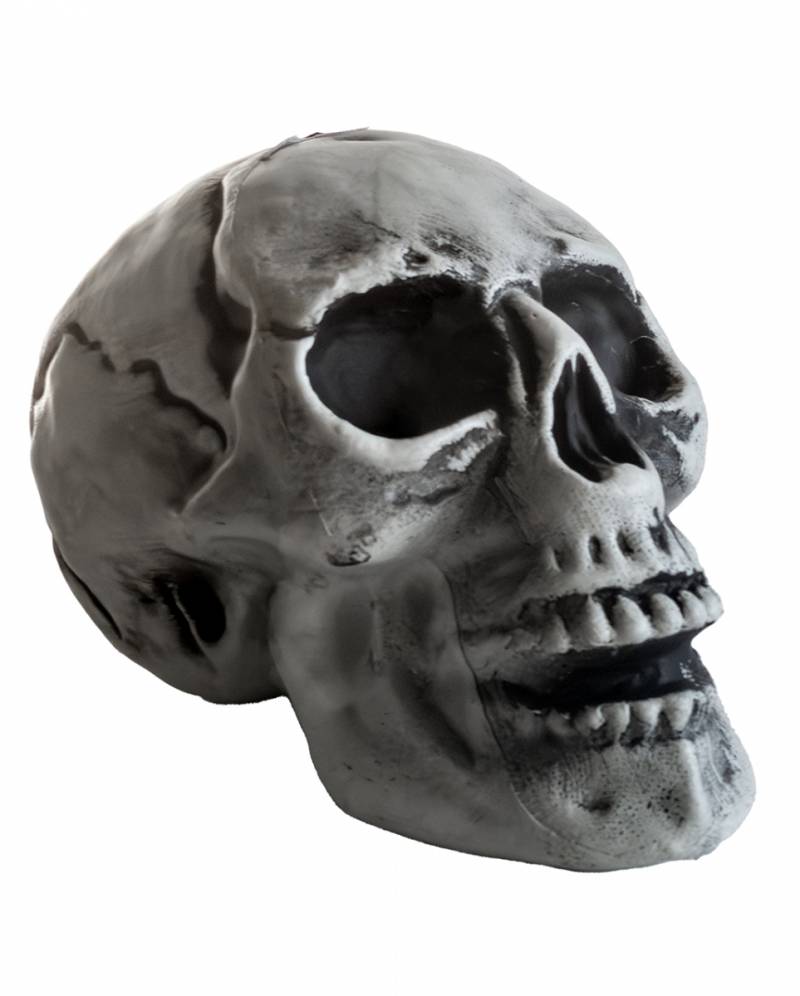 Preiswerter Halloween Totenschädel 24cm  Deko von Karneval Universe