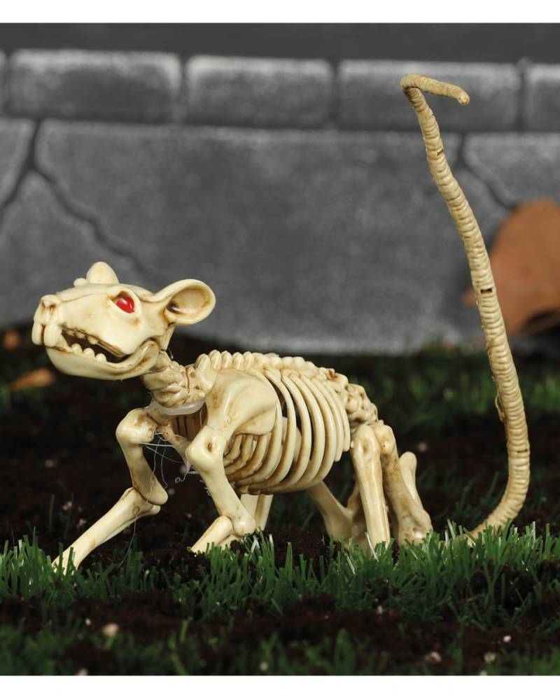 Ratten Skelett 20cm für Halloween von Karneval Universe