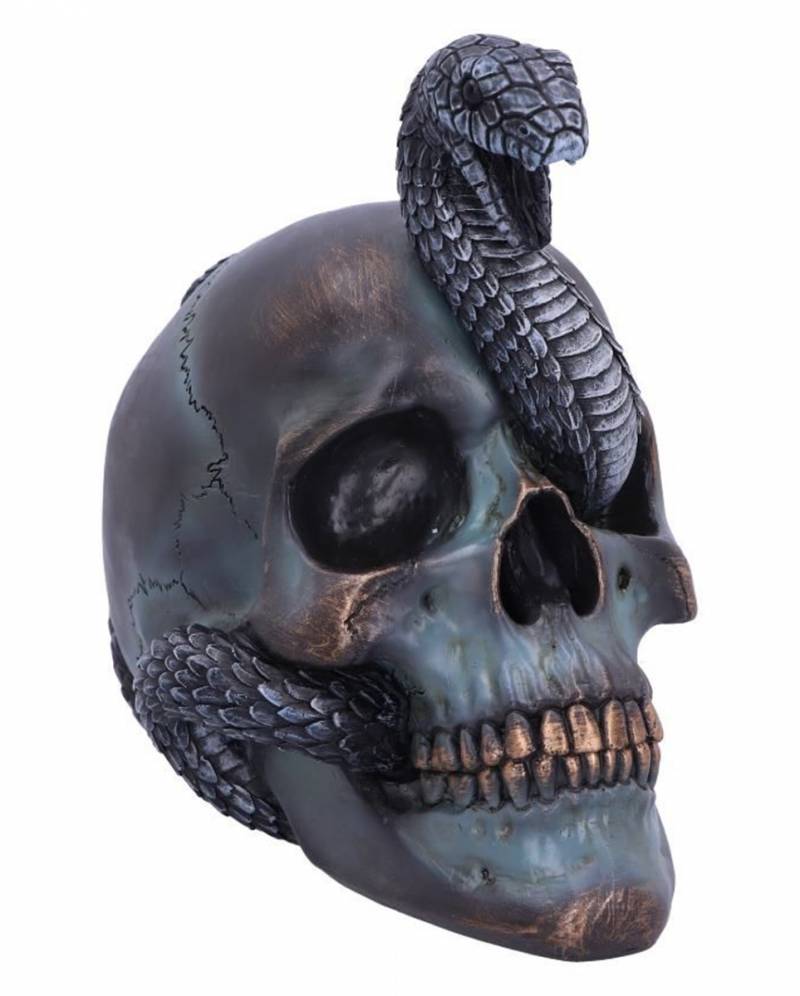 Schuppige Schlange in Totenkopf 19cm ★ von Karneval Universe