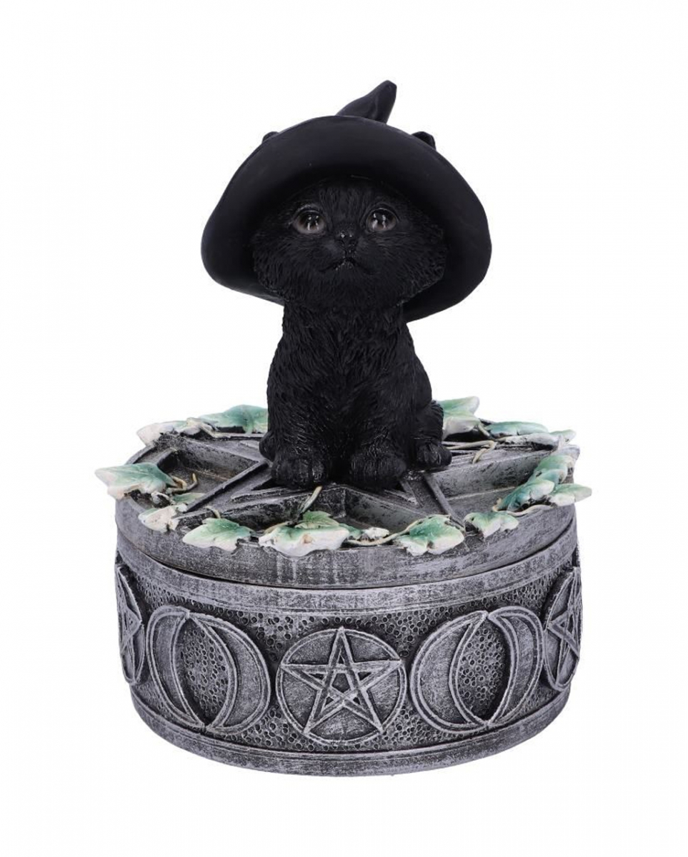 Schwarze Hexenkatze auf Pentagramm Box 15cm kaufen von Karneval Universe