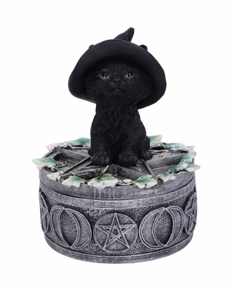Schwarze Hexenkatze auf Pentagramm Box 15cm kaufen von Karneval Universe