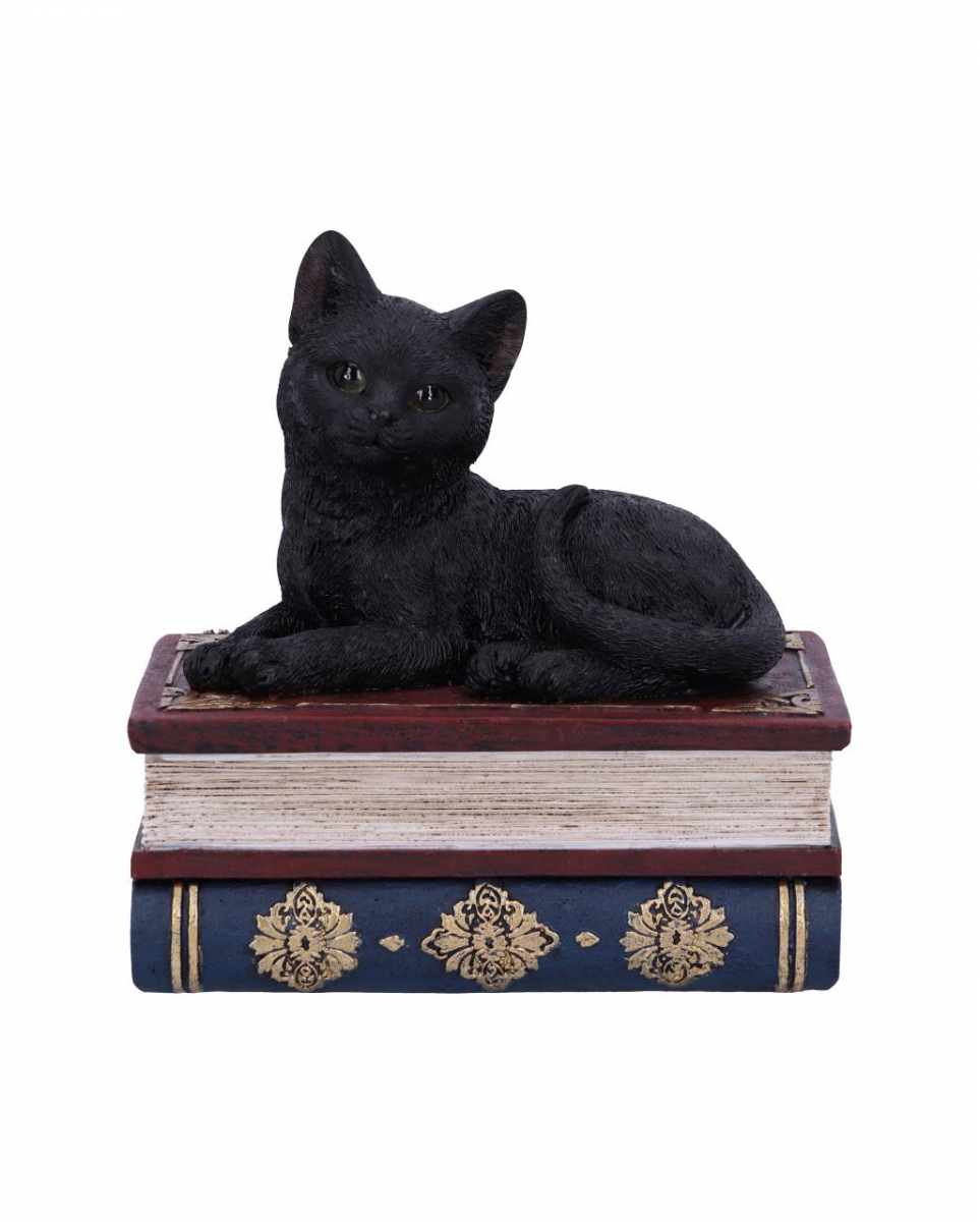 Schwarze Katze auf Hexenbücher Box 11,7cm ★ von Karneval Universe