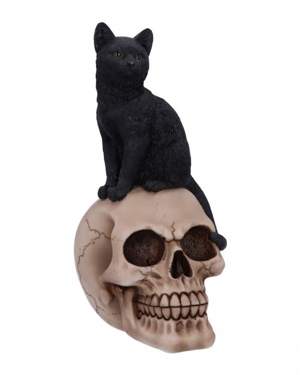 Schwarze Katze auf Totenschädel 24,3cm kaufen ✓ von Karneval Universe