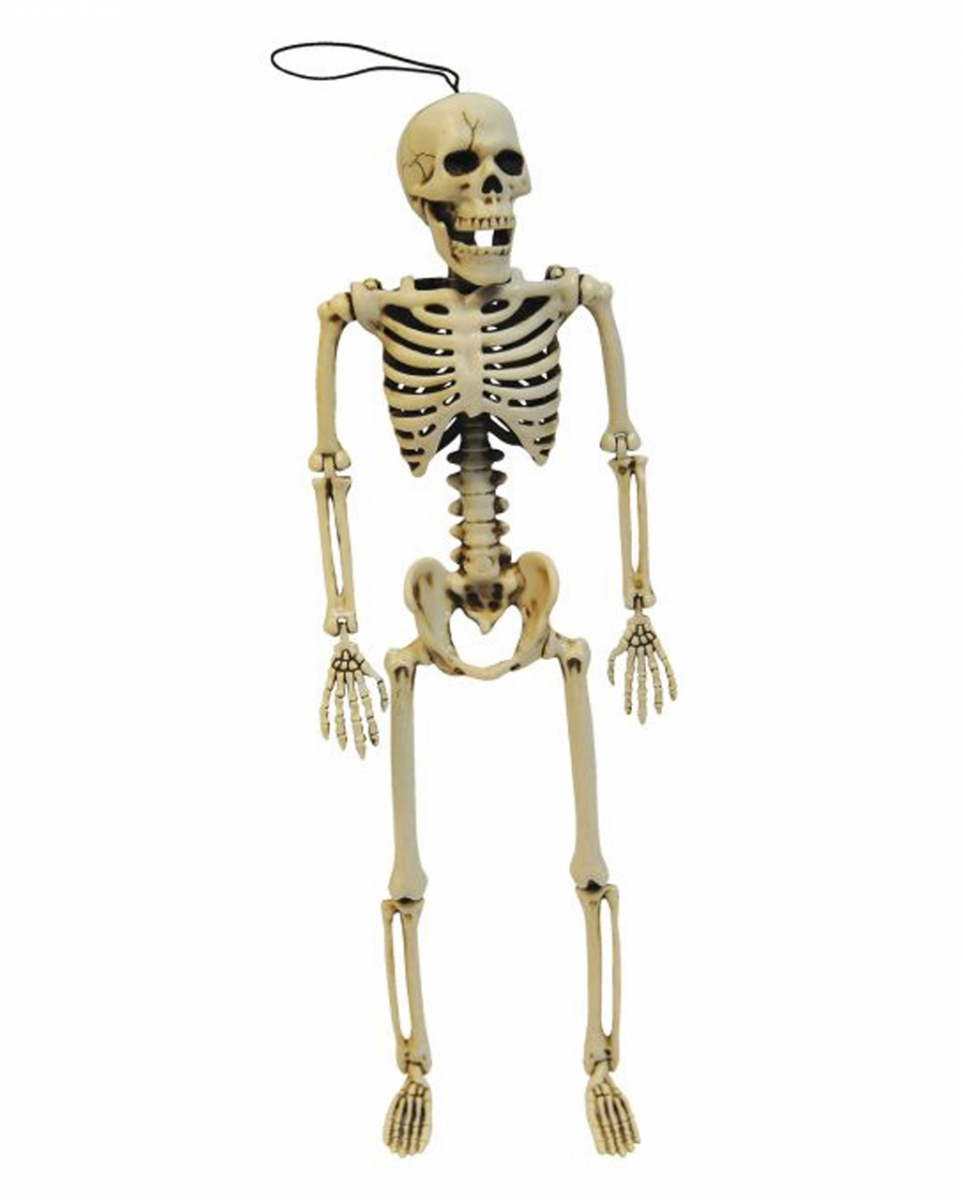 Skelett Figur positionierbar 35cm ➔ Gruseldeko ? von Karneval Universe