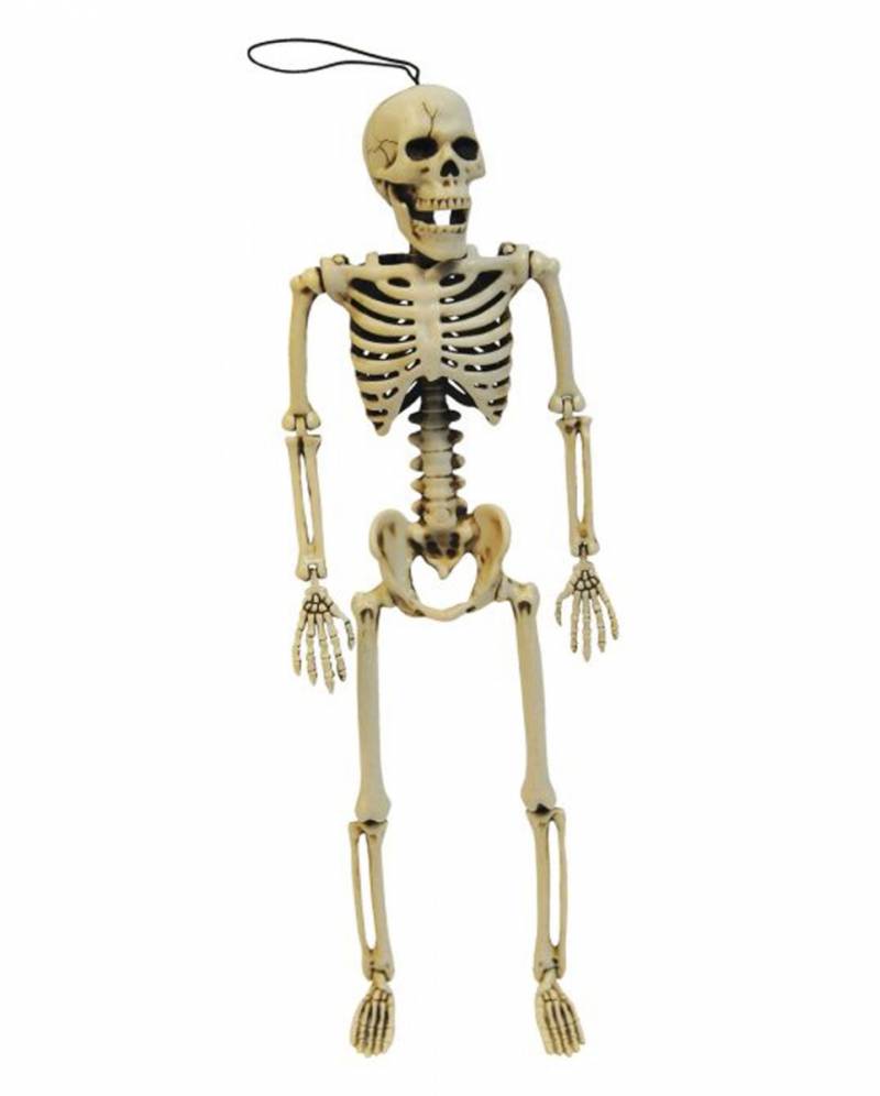 Skelett Figur positionierbar 35cm ➔ Gruseldeko ? von Karneval Universe