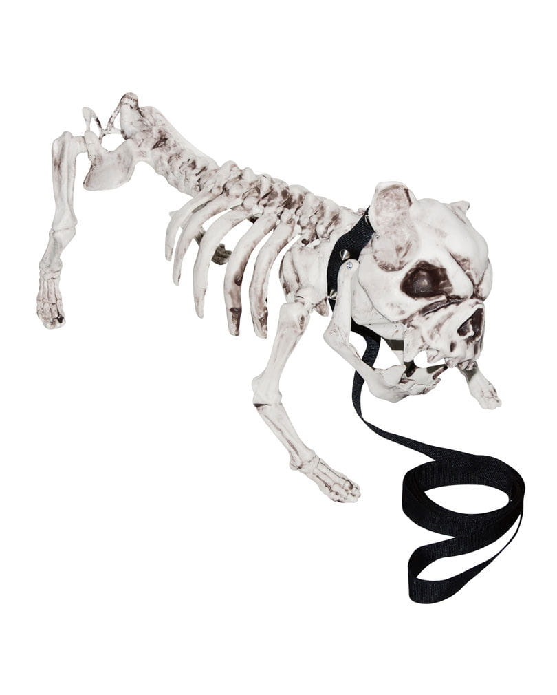 Skelettierter Hund Halloween Figuren kaufen von Karneval Universe