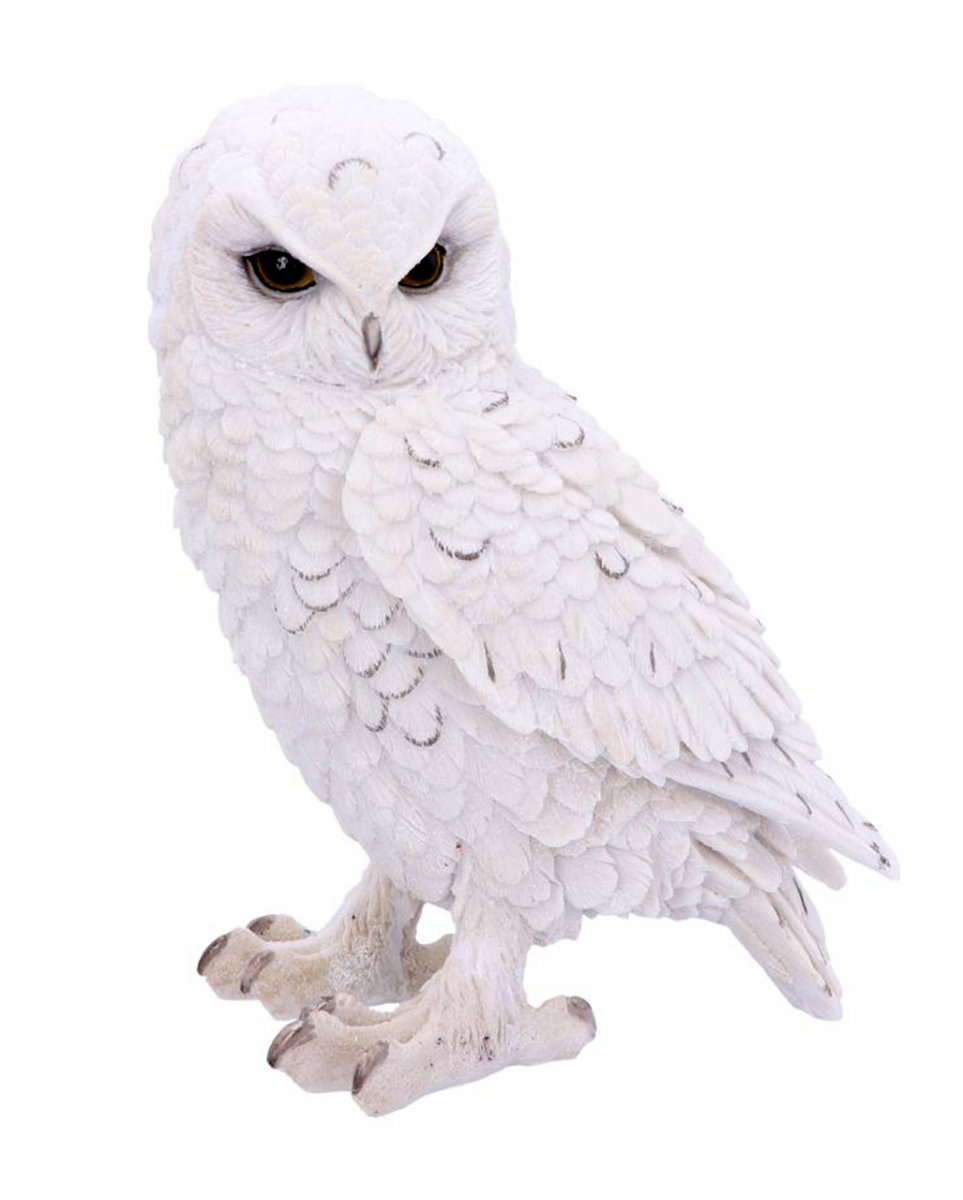 Snowy Watch Große Schneeeule 20cm  HIER kaufen! von Karneval Universe