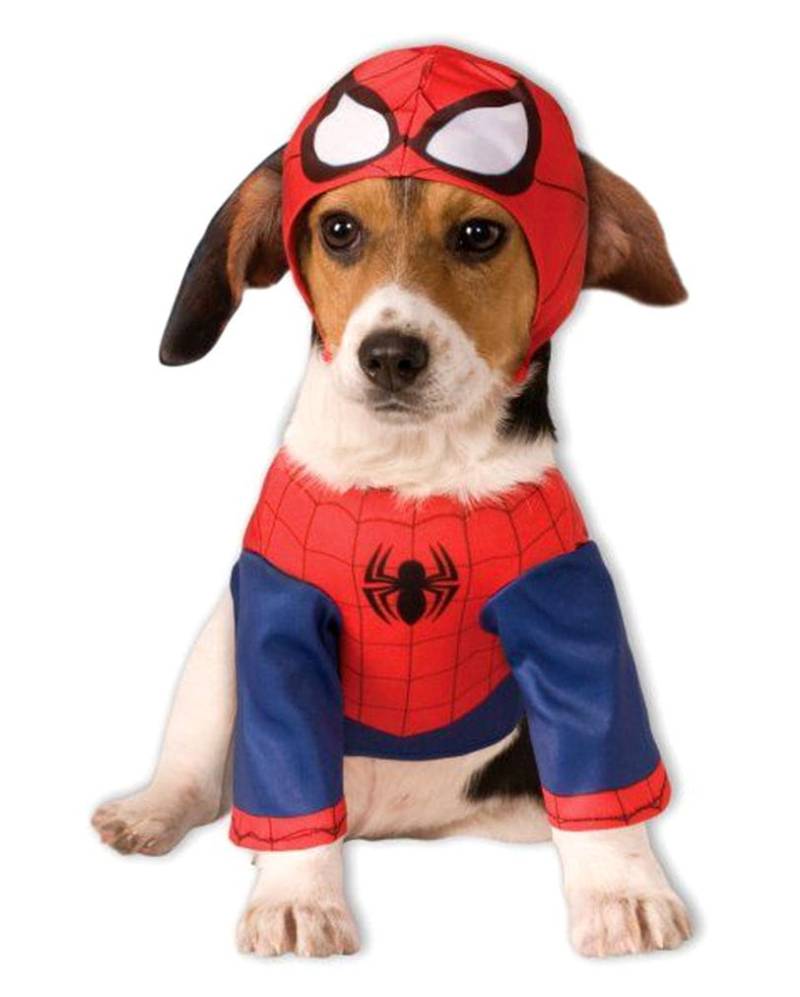 Spider-Man Hunde Verkleidung   Marvel Comics Hundekostüm XL von Karneval Universe