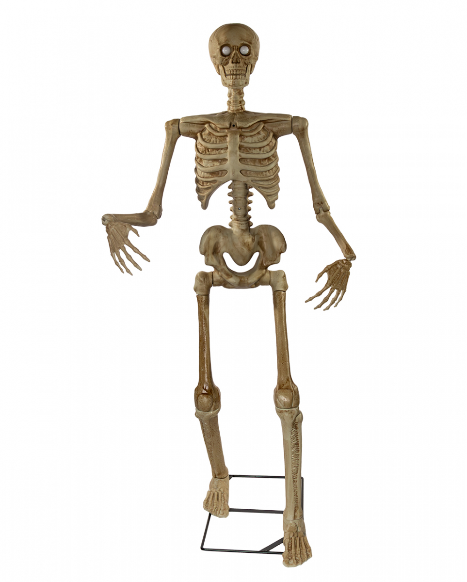 Spooky Skelett Halloween Animatronic 150cm ★ von Karneval Universe