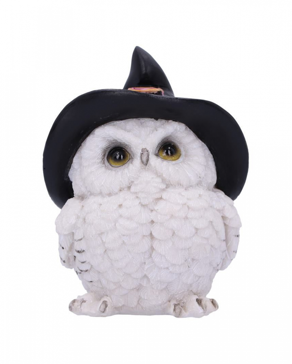 Zauberhafte Schneeeule mit Hexenhut Fantasy Figur von Karneval Universe
