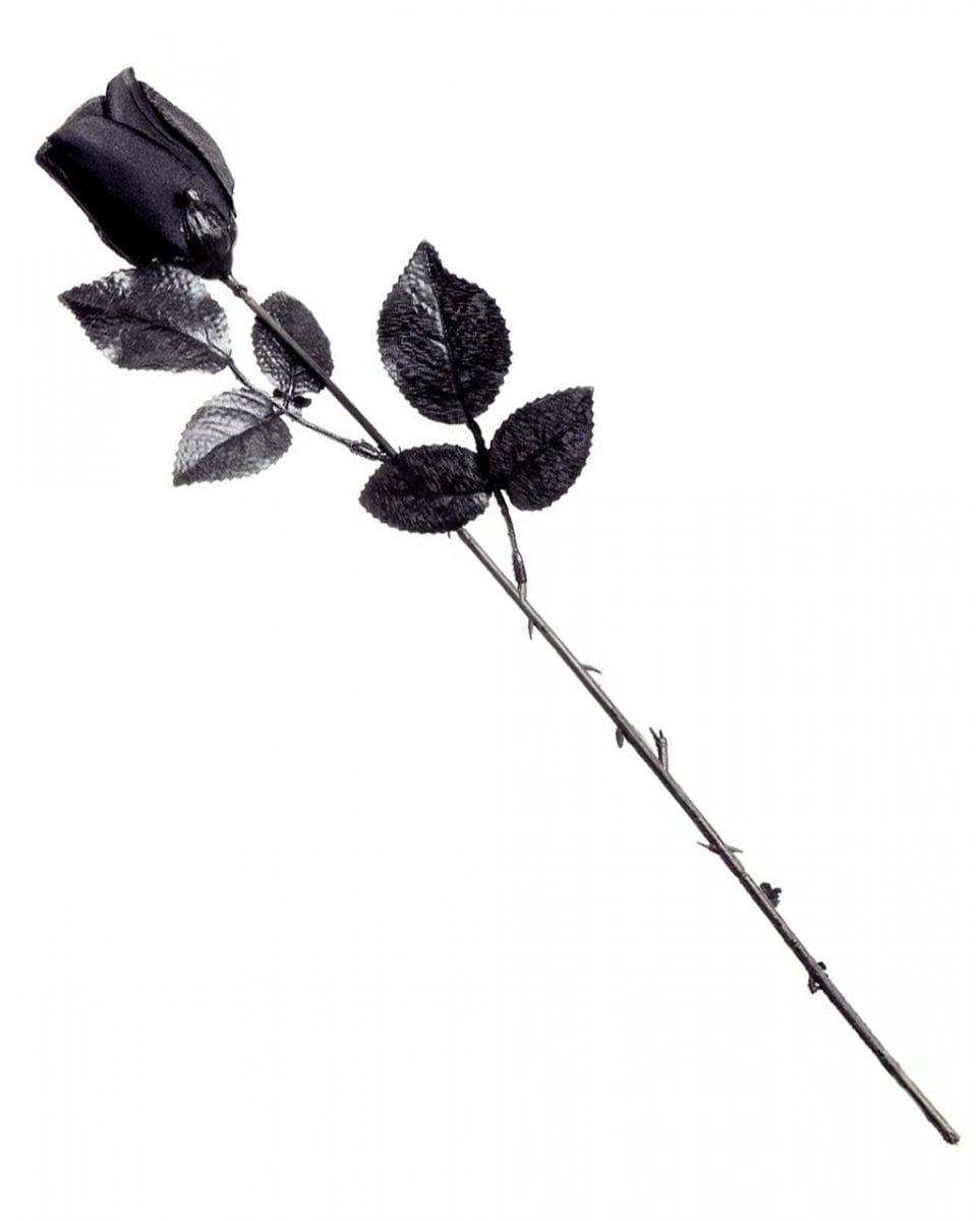 schwarze kurzstielige Rose für Halloween schwarze kurzstielige Rose für Halloween von Karneval Universe