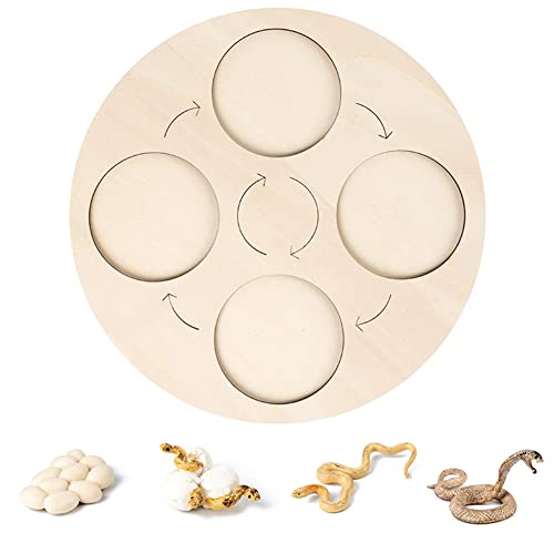 Katutude Montessori Lebenszyklus Brett Holzspielzeug, Lebenszyklus Insekten Spielzeug Kunststoff Tierfiguren Pädagogische Lernspielzeug Geschenke für Kinder Jungen Mädchen Katutude Montessori Lebenszyklus Brett Holzspielzeug, Lebenszyklus Insekten Spielzeug Kunststoff Tierfiguren Pädagogische Lernspielzeug Geschenke für Kinder Jungen Mädchen von Katutude