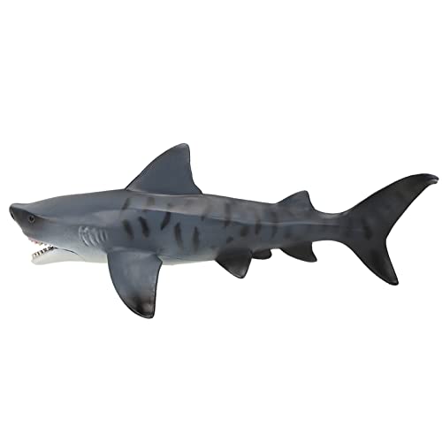 Kcabrtet Hai-Modell, Simulation von Meereslebewesen, Tiermodell, Für Jungen Und Mädchen, Geburtstagsgeschenk(New Hollow Tiger Shark Model) von Kcabrtet