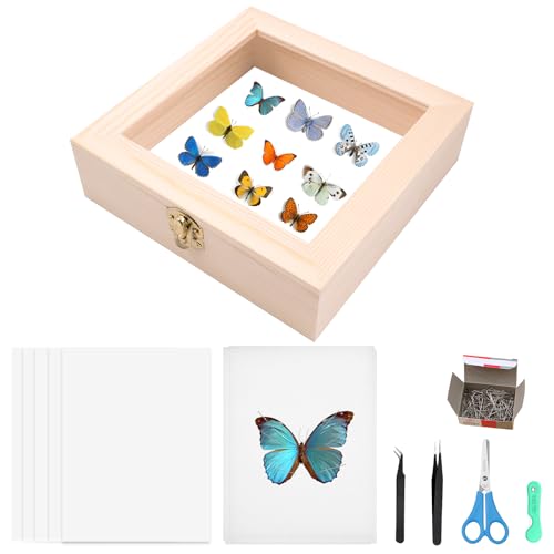 Insekt Vitrine Insektensammlung Herstellung von Insektenproben Werkzeug Kit Insektennadeln Insektensammlung Insekten Schaukasten für Bug Hobbyist von KeaJuidy