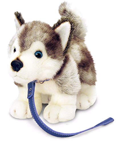 Keel Toys Deluxe 30cm Dog on Lead Husky Plush Soft Toy von Keel Toys