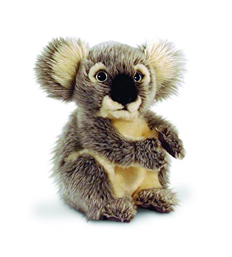Keel Toys 20 cm Koala. von Keel Toys