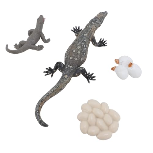 Keenso 4 PCs Eidechsen -Lebenszyklusspielzeug, Echsenmodell Spielzeug PVC Realistische Pädagogische Reptilien -Tierwachstumszyklusspielzeug von Keenso