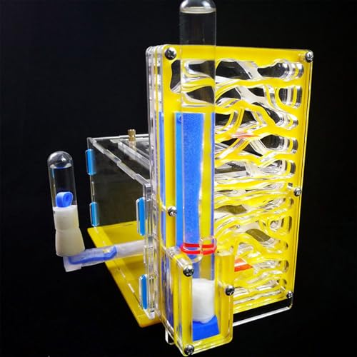 Keenso -Acryl -Ameisennest mit Wassereinlass für Ameisenüberleben, Großartiges Geburtstagsgeschenk für Insektenliebhaber (Yellow) von Keenso