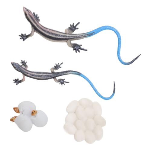 Keenso Eidechsenlebenszyklus -Figuren Spielzeugset, Lebensechte Pädagogische Dekorative PVC -Reptilienfigur für Hausgartendekoration von Keenso