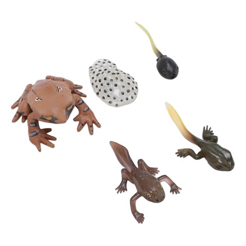 Keenso Frosch -Wachstumszyklusspielzeug, Tierfigur Spielzeug PVC Kompakte Realistische Kognitiver Wachstum Zyklus Tiermodell Froschspielzeug für zu Hause Keenso Frosch -Wachstumszyklusspielzeug, Tierfigur Spielzeug PVC Kompakte Realistische Kognitiver Wachstum Zyklus Tiermodell Froschspielzeug für zu Hause von Keenso