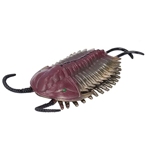 Keenso Simulierte Trilobiten-Modellfigur, Antikes Meerestiermodell, Lernspielzeug für von Keenso