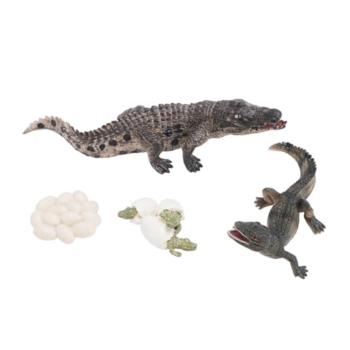 Keenso Wachstumszyklusmodell, Tierwachstumslebenszyklusmodell Set Early Education PVC Cognition Reptile Tierfiguren für von Keenso