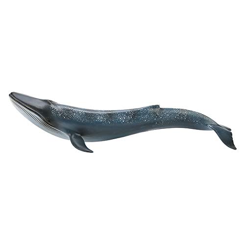 Keenso Walfigur, Lernspielzeug mit Erstaunlichen Details, Perfekt für Sammler, Lehrer und (Blauwal-Sprungmodell) von Keenso