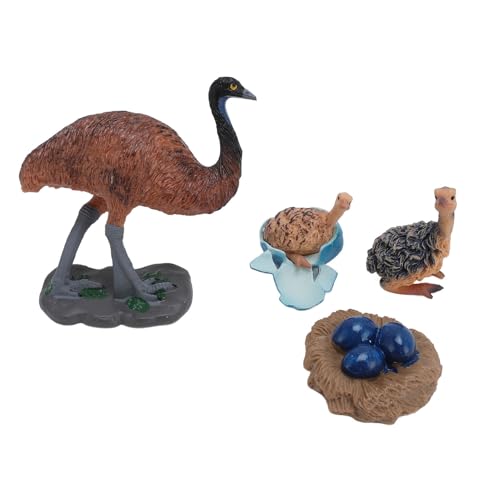 Strauß Figurenspielzeug, 4 PCs Kognitive Wachstumszyklusspielzeug für Kindergartenschule, Ideales Bildungsinstrument für Familienunterhaltung Strauß Figurenspielzeug, 4 PCs Kognitive Wachstumszyklusspielzeug für Kindergartenschule, Ideales Bildungsinstrument für Familienunterhaltung von Keenso