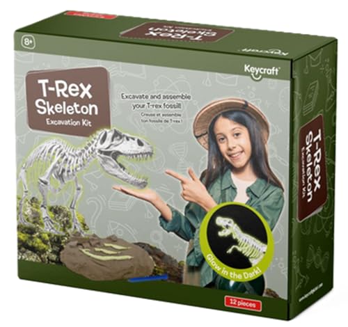 T-Rex Skelett Ausgrabungs-Set, leuchtet im Dunkeln, 12-teilig T-Rex Skelett Ausgrabungs-Set, leuchtet im Dunkeln, 12-teilig von Keycraft