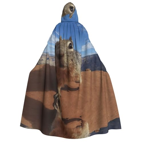 Kfjghhl Halloween-Umhang mit Maus, goldener Kapuzenumhang, volle Länge, Robe, Umhang, Halloween-Kostüm, Cosplay, Party Kfjghhl Halloween-Umhang mit Maus, goldener Kapuzenumhang, volle Länge, Robe, Umhang, Halloween-Kostüm, Cosplay, Party von Kfjghhl