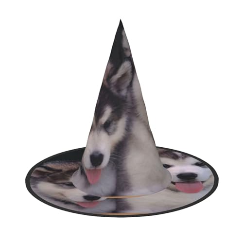 Kfjghhl Husky Hunde-Hut, böse Kostüme, für Erwachsene, Unisex, Stirnband, Kostümzubehör, Weihnachtsfeier, Cosplay, Zauberer-Kostüm, Outfit, Halloween Kfjghhl Husky Hunde-Hut, böse Kostüme, für Erwachsene, Unisex, Stirnband, Kostümzubehör, Weihnachtsfeier, Cosplay, Zauberer-Kostüm, Outfit, Halloween von Kfjghhl