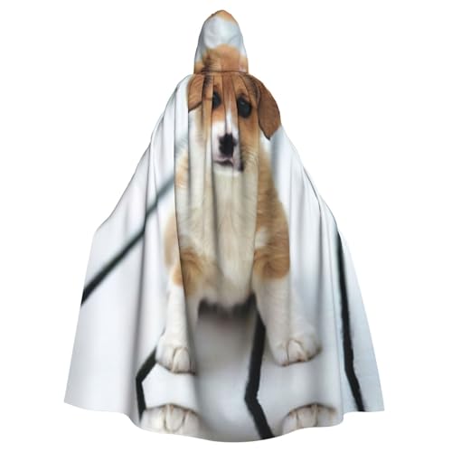 Kfjghhl Kapuzenumhang mit Kapuze, Unisex, niedlicher Welpe, Kostüm, Party, Halloween, Cosplay, Erwachsene, Kapuzenmantel, Weihnachten, 147,3 cm Kfjghhl Kapuzenumhang mit Kapuze, Unisex, niedlicher Welpe, Kostüm, Party, Halloween, Cosplay, Erwachsene, Kapuzenmantel, Weihnachten, 147,3 cm von Kfjghhl