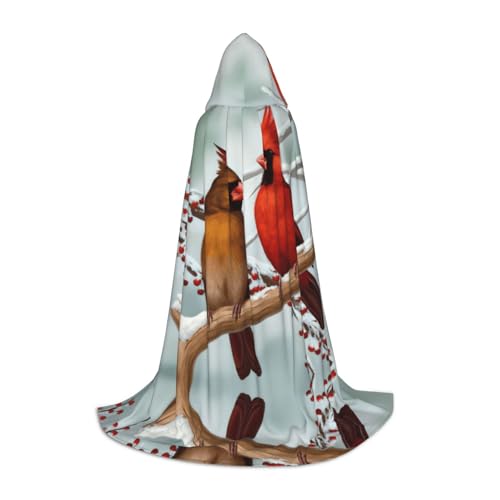 Kfjghhl Langer Kapuzenumhang mit süßem Vögel, für Teenager, Kinder, Hexenkostüm, Halloween-Kostüm, für Damen und Herren, 88,9–149,7 cm von Kfjghhl